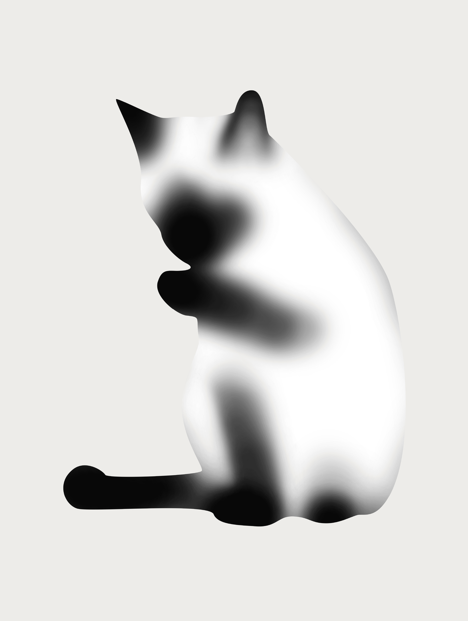 暹罗猫 05
