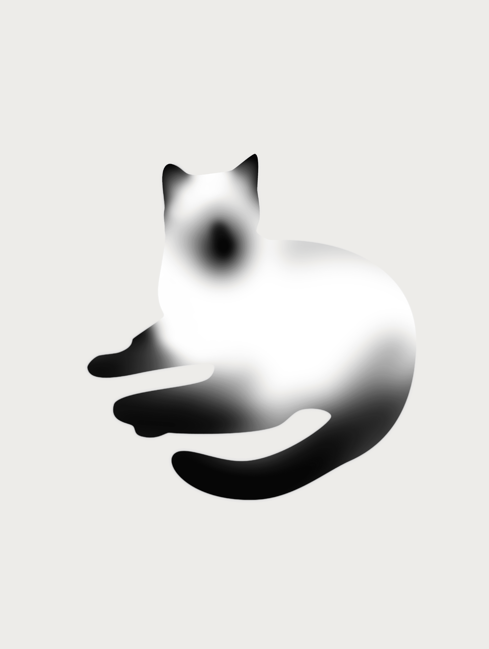 暹罗猫 07